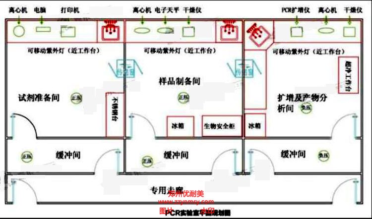 标准PCR实验室建设方案效果图