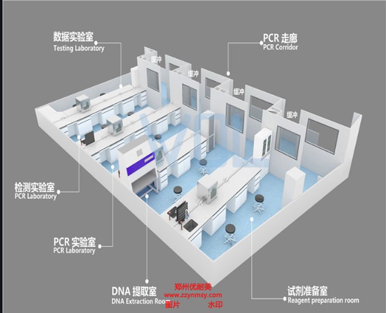 PCR实验室建设方案布局