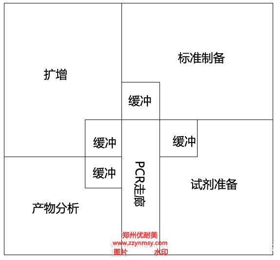 PCR实验室方形布局