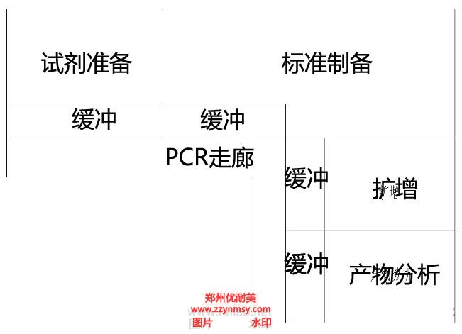 PCR实验室L形布局