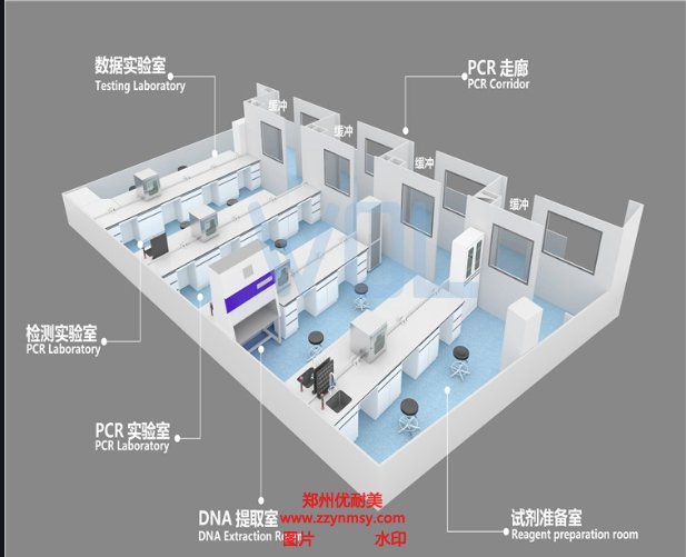 PCR实验室建设